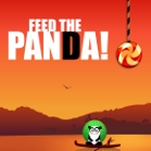 Feed The Panda